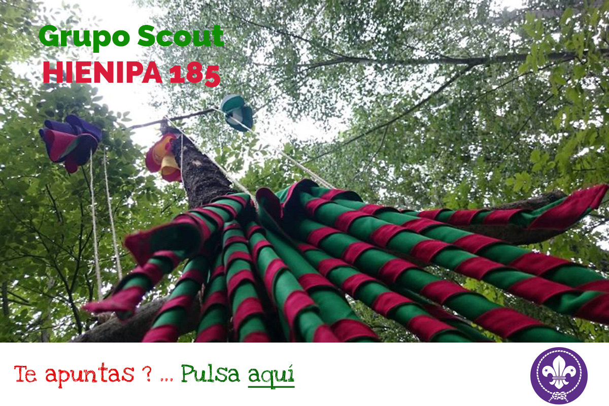 Grupo Scout Hienipa 185